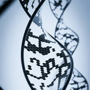 Estudio Farmacogenético de Precisión